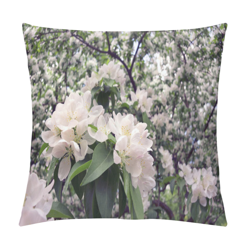 Personality  Pear Shining Delicate Flowers Pillow Covers