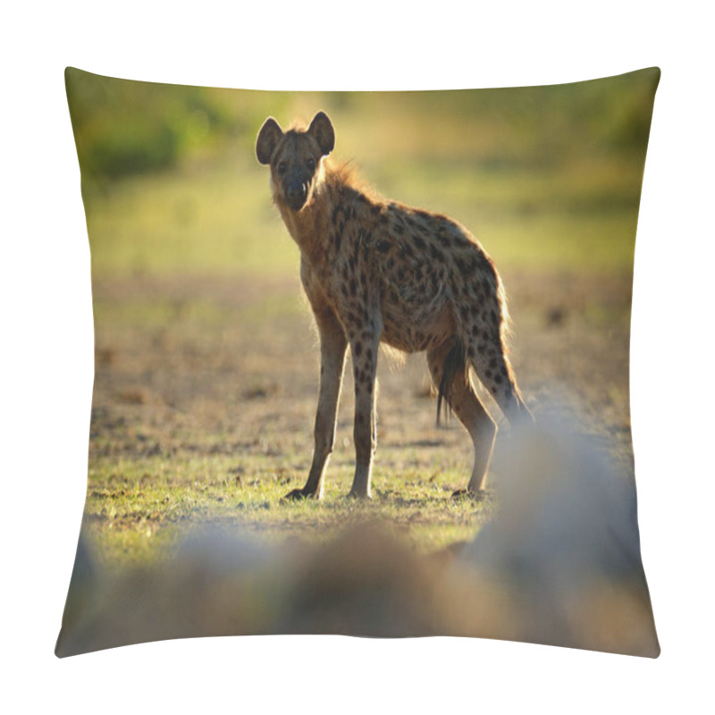 Personality  Spotted Hyena, Crocuta Crocuta, Angry Animal Near The Water Hole, Beautiful Evening Sunset. Animal Behaviour From Nature, Wildlife In Etosha, Namibia, Africa. Hyena In Savannah Habitat. Pillow Covers