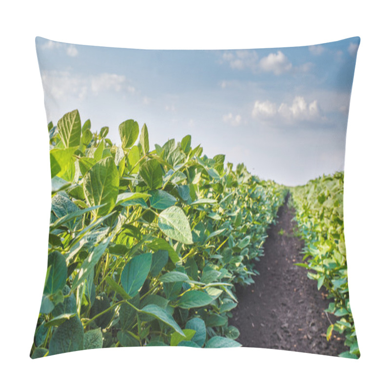 Personality  Soybean Field  Pillow Covers