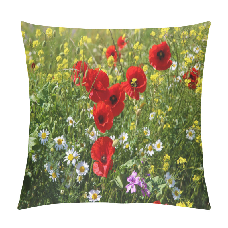 Personality  Natural Spring Poppies And Daisy In The Meadow Pillow Covers