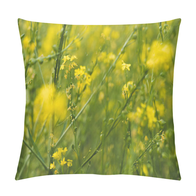 Personality  Beautiful Meadow With Blooming Yellow Flowers Pillow Covers