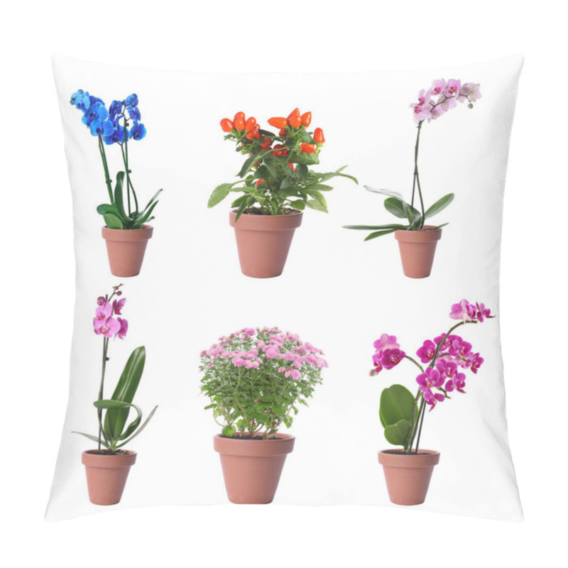 Personality  Set Of Different Blooming Plants In Flower Pots On White Background Pillow Covers