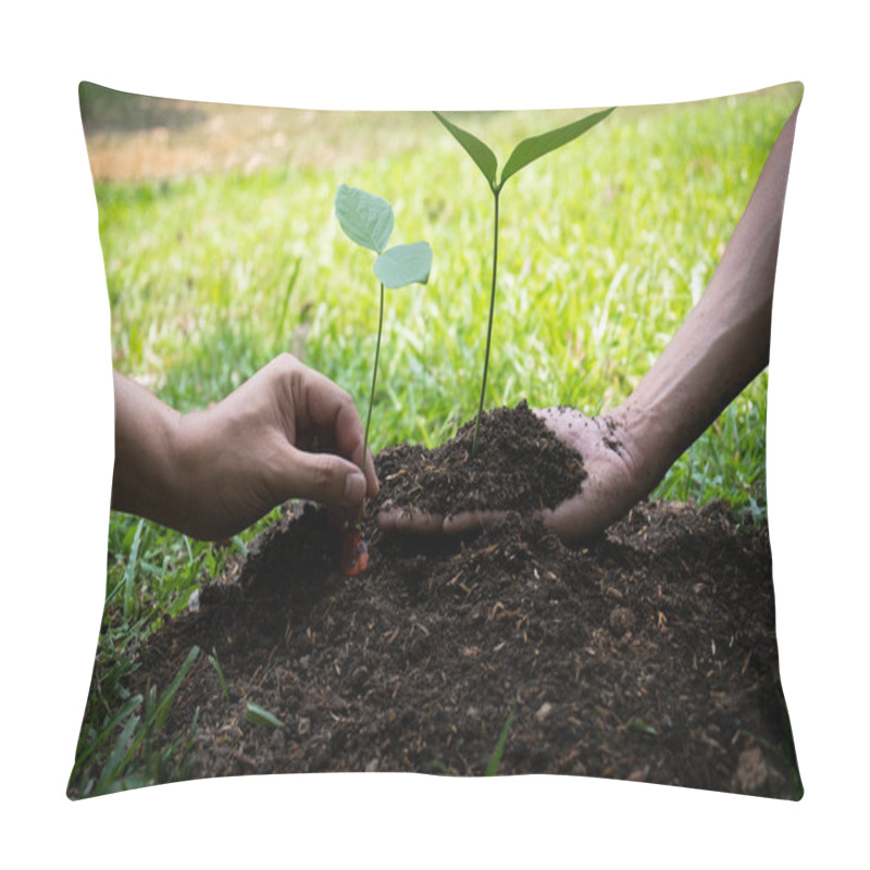 Personality  Two Young Men Planting Trees In The Garden To Preserve Environment Concept, Nature, World, Ecology And Reduce Air Pollution. Pillow Covers