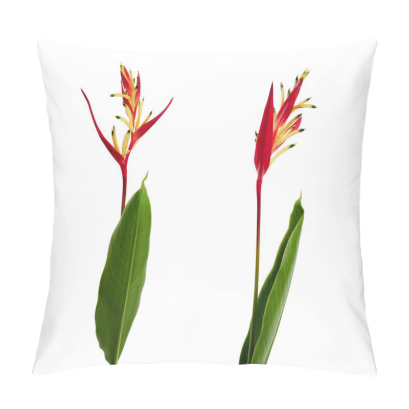 Personality  Heliconia Psittacorum (Parrot's Beak Or Lady Di) Flowers With Leaf, Tropical Flowers Isolated On White Background, With Clipping Path                     Pillow Covers