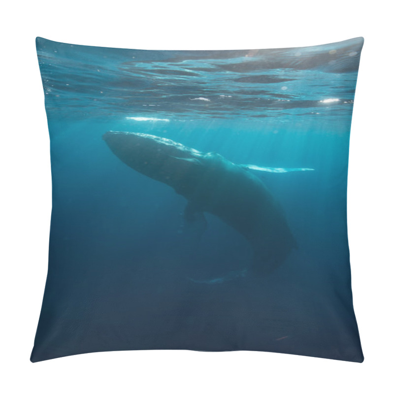 Personality  Humpback And Sunlight Underwater Pillow Covers