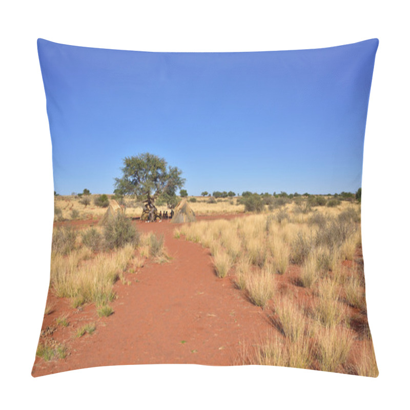 Personality  Kalahari Desert, Namibia Pillow Covers