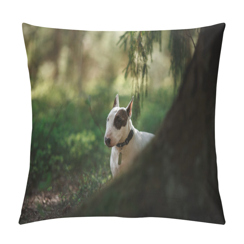 Personality  Dog Bull Terrier Walking In The Park Pillow Covers