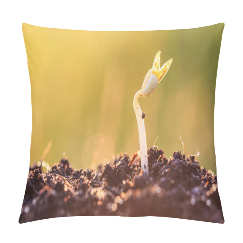 Personality  Young Plant Growing On Soil  Pillow Covers