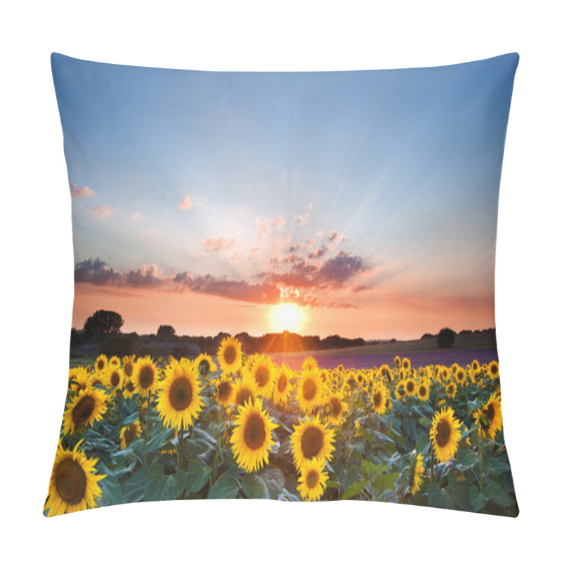 Personality  Sunflower Summer Sunset Landscape With Blue Skies Pillow Covers