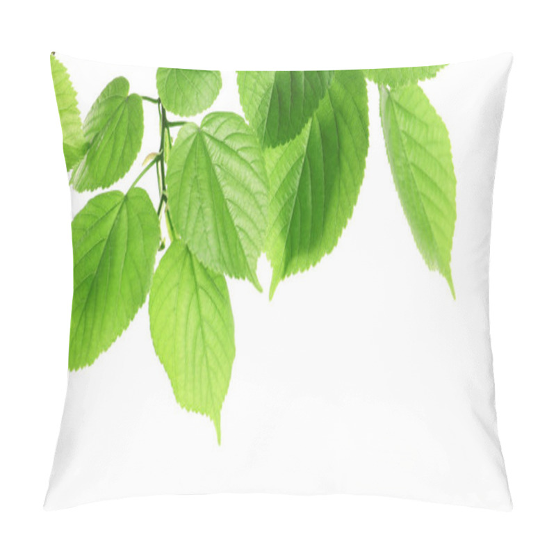 Personality  Branch With Green Leaves On White Background Pillow Covers