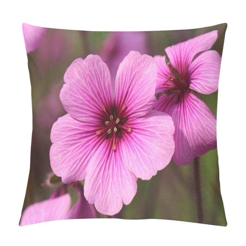 Personality  Cranesbill Violet Purple Flowers Petals, Flora  Pillow Covers