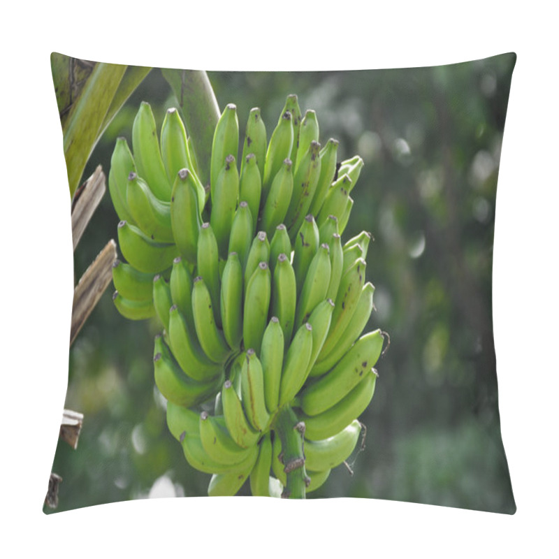 Personality  Banana Pillow Covers