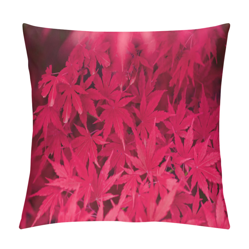 Personality  Japanese Maple Red Leaves Pillow Covers