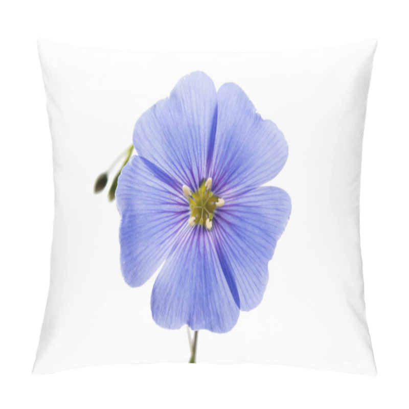 Personality  Blue Flax Flower Isolated Pillow Covers