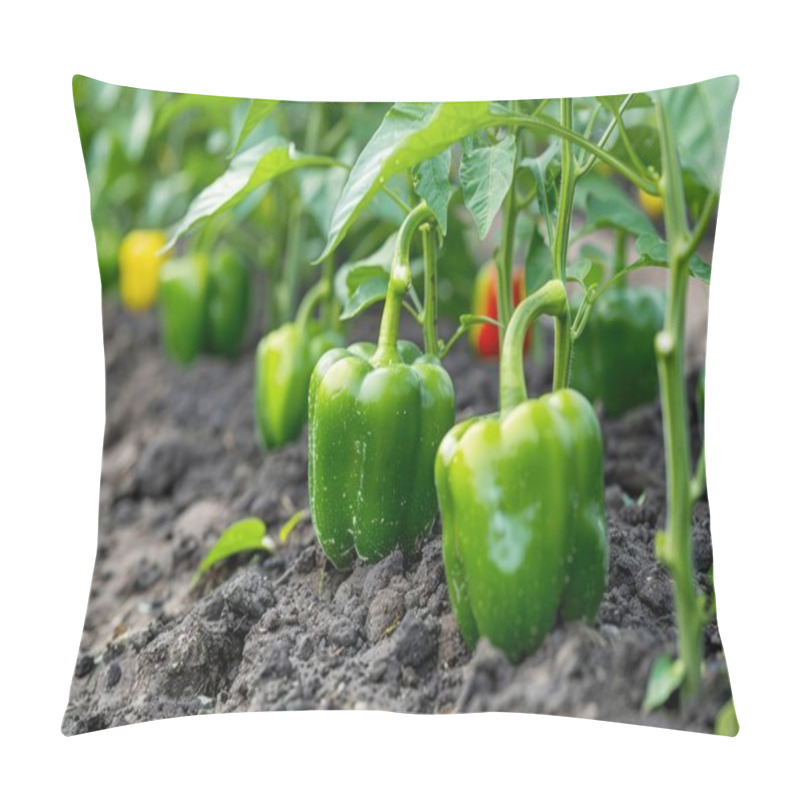 Personality  Green Bell Peppers Growing On Lush Plants In A Garden, Showcasing Vibrant Colors And Healthy Foliage. Pillow Covers