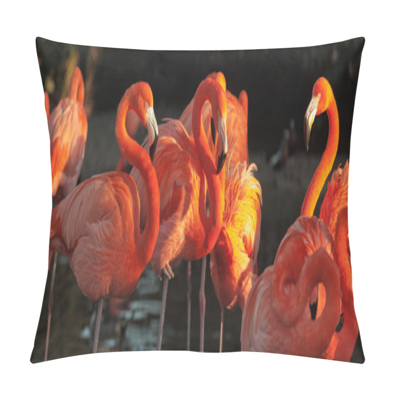 Personality  Carribean Flamingos Over Beautiful Sunset Pillow Covers