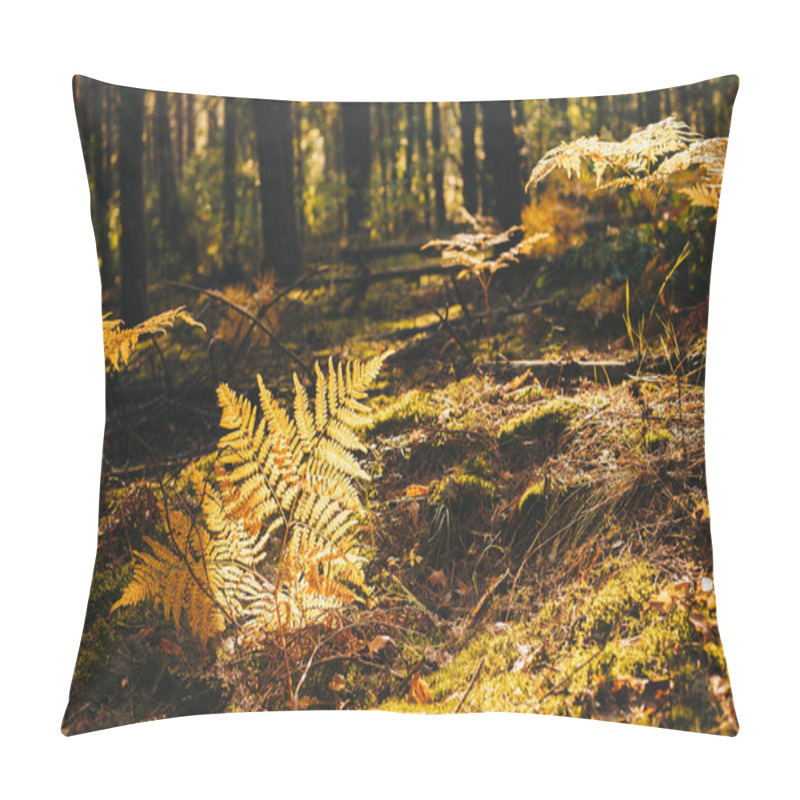 Personality  Fairy Tale Forest Landscape With Fern Leaf Lit By Sunlight Pillow Covers