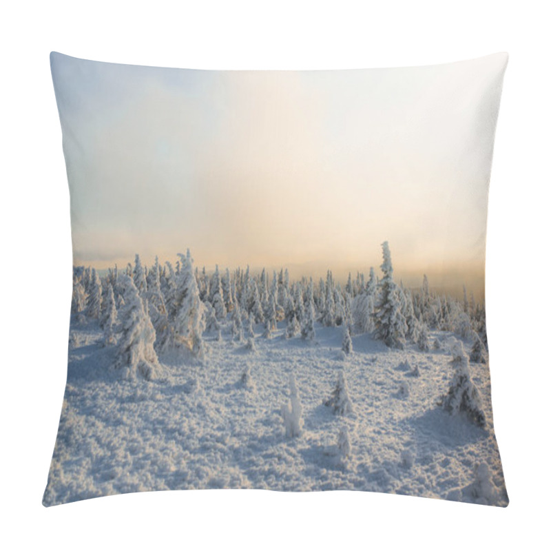 Personality  Evening In Winter Cold Forest Pillow Covers