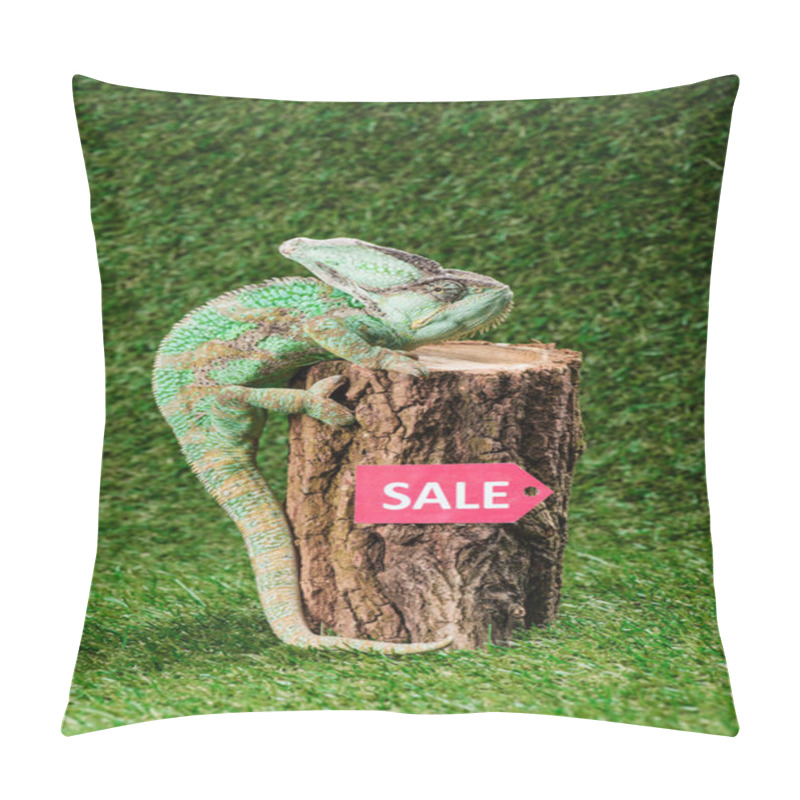 Personality  Beautiful Bright Green Chameleon Climbing On Stump With Sale Sign Pillow Covers