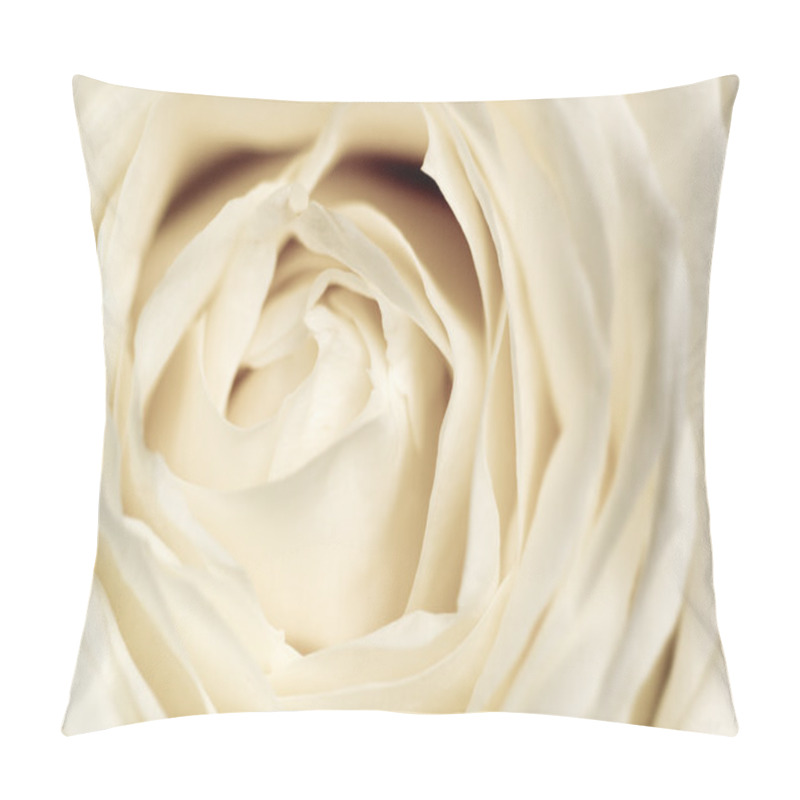 Personality  Delicate Rose. Pillow Covers