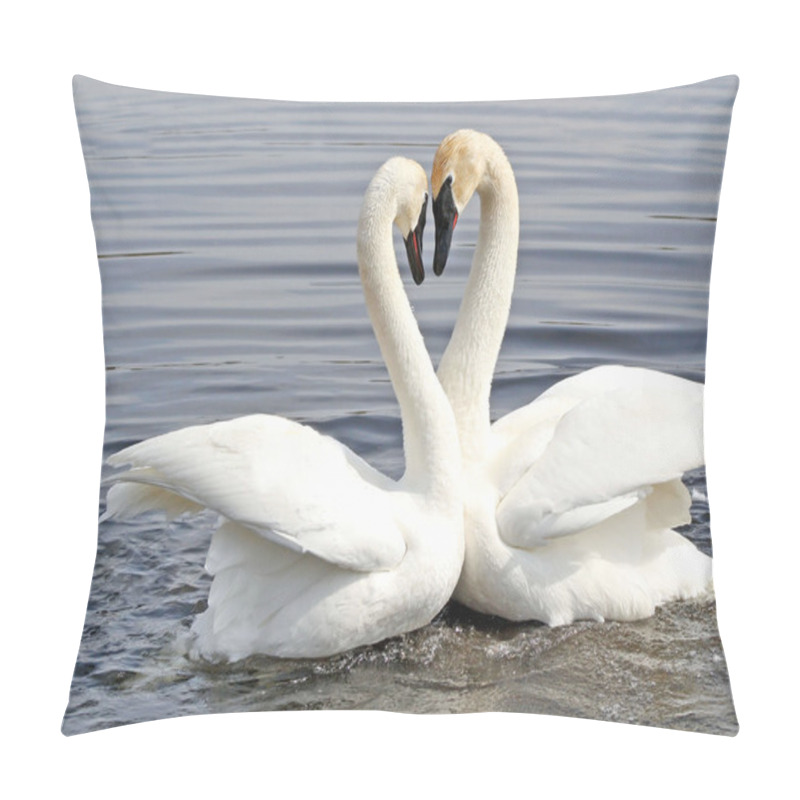 Personality  Courtship Dance Of Two Trumpeter Swans Pillow Covers