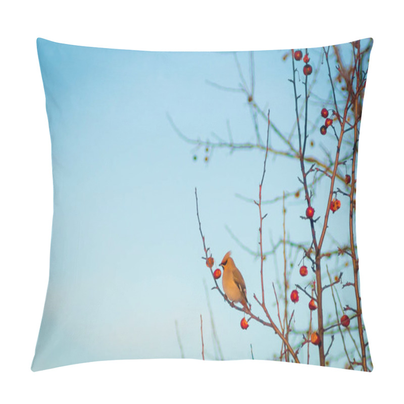 Personality  Hungry Wild Bird Waxwing On A Tree In Spring Forest Pillow Covers