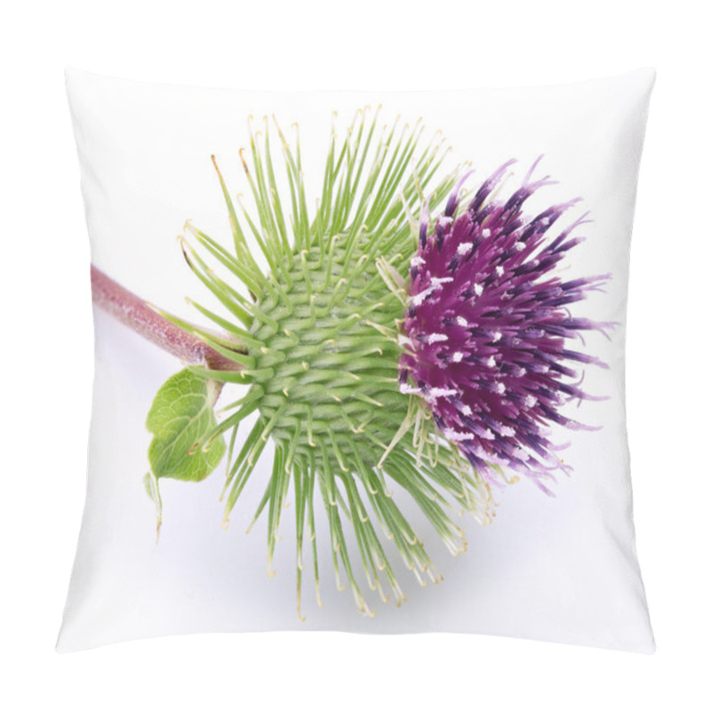 Personality  Prickly Head Of Burdock Flower On A White Background. Pillow Covers