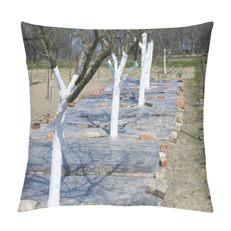 Personality  Warming Soil Using Of Polyethylene Film  Pillow Covers