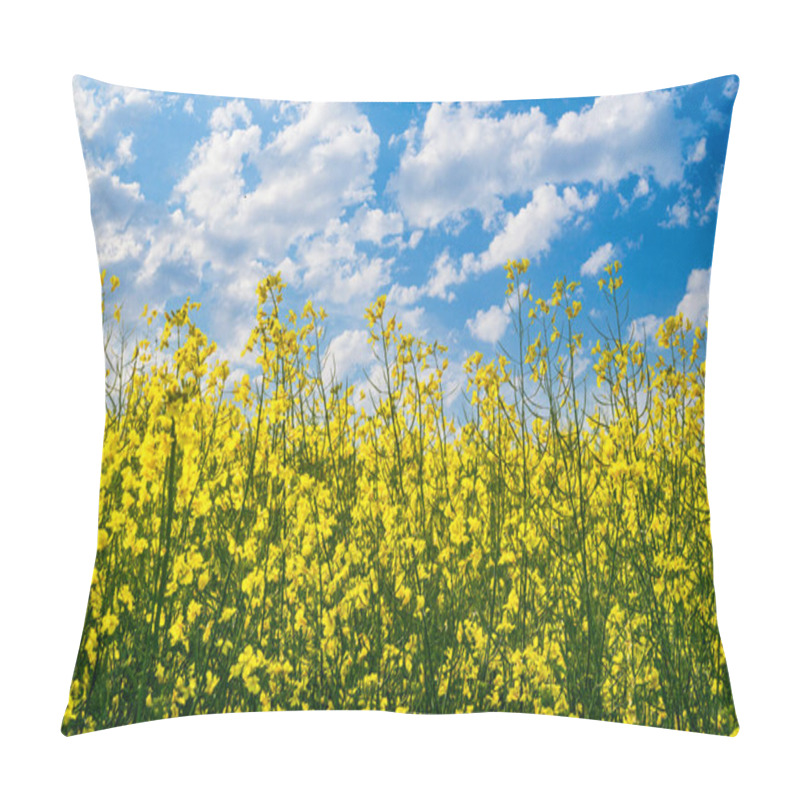 Personality  Blooming Yellow Rapeseed Field Pillow Covers