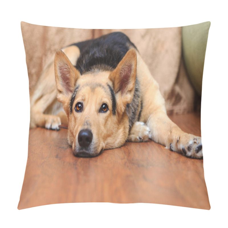 Personality  Dog Lying On The Floor Pillow Covers