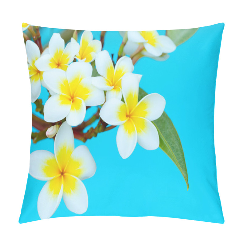 Personality  Frangipani Flowers  On Tree Pillow Covers