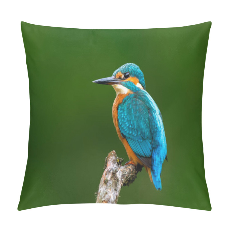 Personality  A Beautiful Little Kingfisher Sitting On A Branch And Looking To The Right. In The Background Is A Green Forest. Close Up Taken With Long Focal Length. Pillow Covers