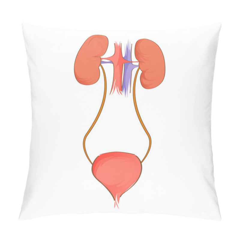 Personality  Urinary System. Anatomy Of Human. Vector Pillow Covers