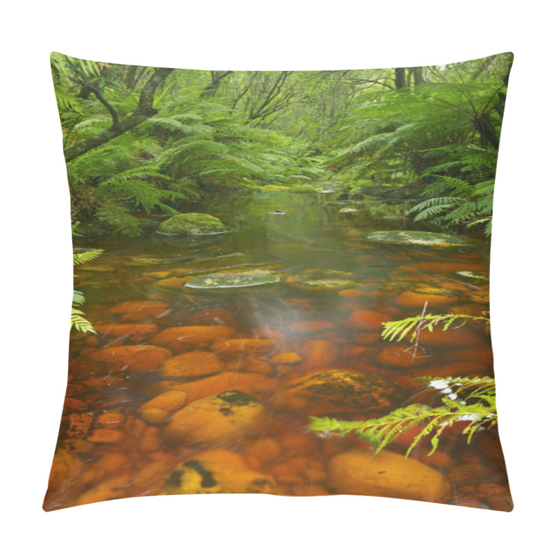 Personality  Red River Through Lush Temperate Rainforest In The Garden Route National Park In South Africa. Pillow Covers