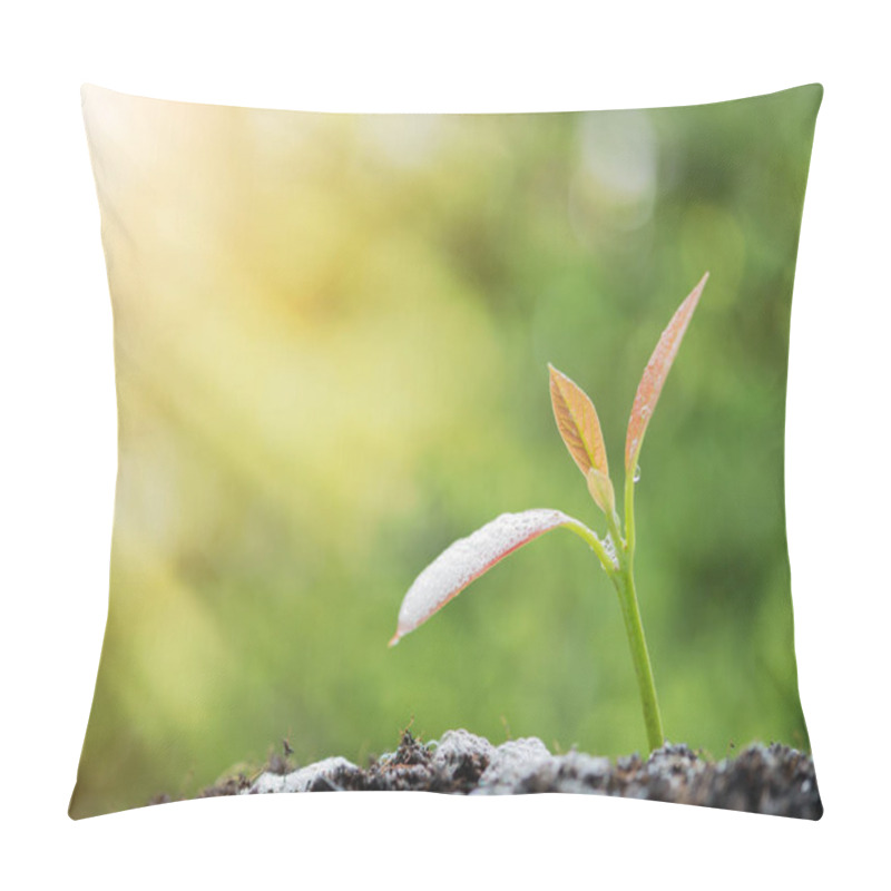 Personality  Success In Business,watering Young New Born Plant Growing Out Of Soil In Sun Light ,agriculture Pillow Covers