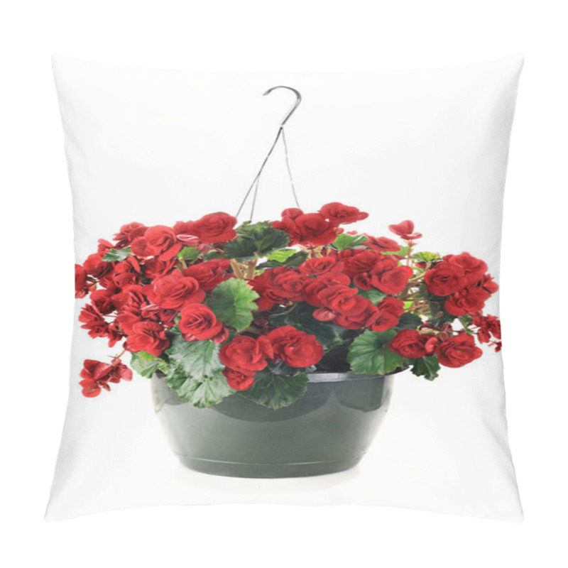 Personality  Hanging Begonias Pillow Covers