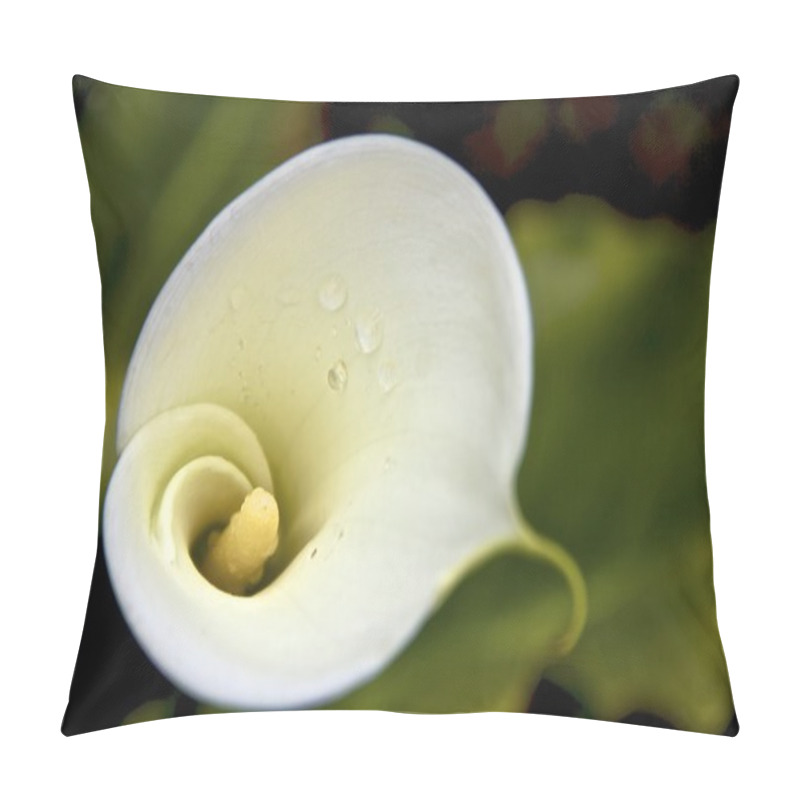 Personality  Calla Lilly After The Rain Pillow Covers