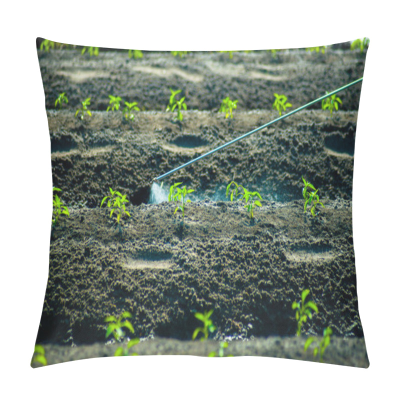 Personality  Insecticides Spraying Pillow Covers