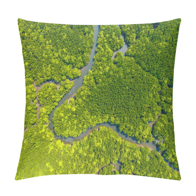 Personality  Amazing Abundant Mangrove Forest, Aerial View Of Forest Trees Rainforest Ecosystem And Healthy Environment Background, Texture Of Green Trees Forest Top Down, High Angle View Pillow Covers