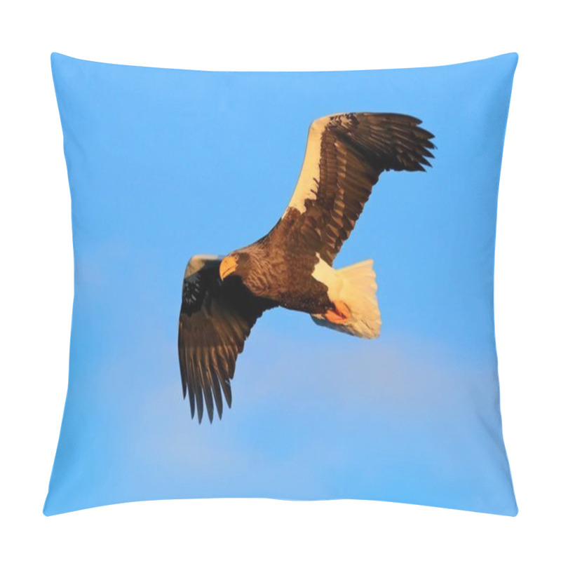 Personality  Eagle Flight During Winter Pillow Covers