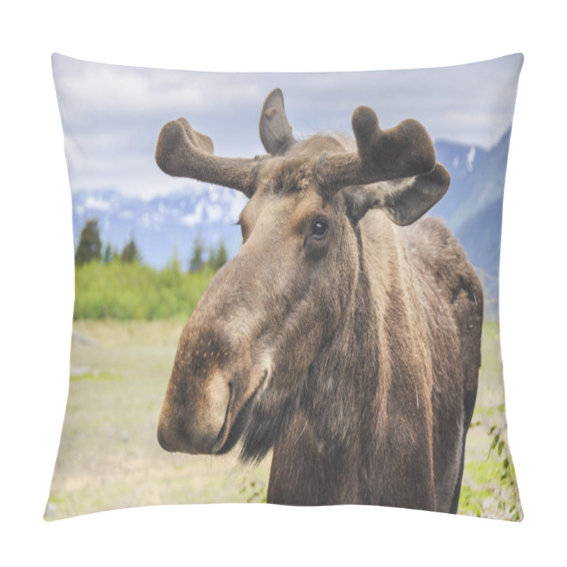 Personality  Moose In Alaska (USA) Pillow Covers