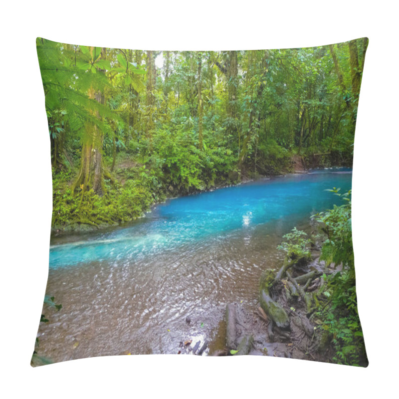 Personality  Rio Celeste, Tenorio Volcano National Park, Costa Rica Pillow Covers