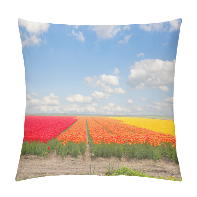 Personality  Dutch Yellow Tulip Fields In Sunny Day Pillow Covers