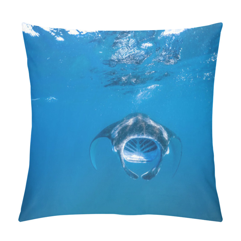 Personality  Bright Underwater Scene With Manta Ray In Sun Rays. Snorkeling And Diving In Tropical Sea, Underwater Sport And Recreational Background Pillow Covers