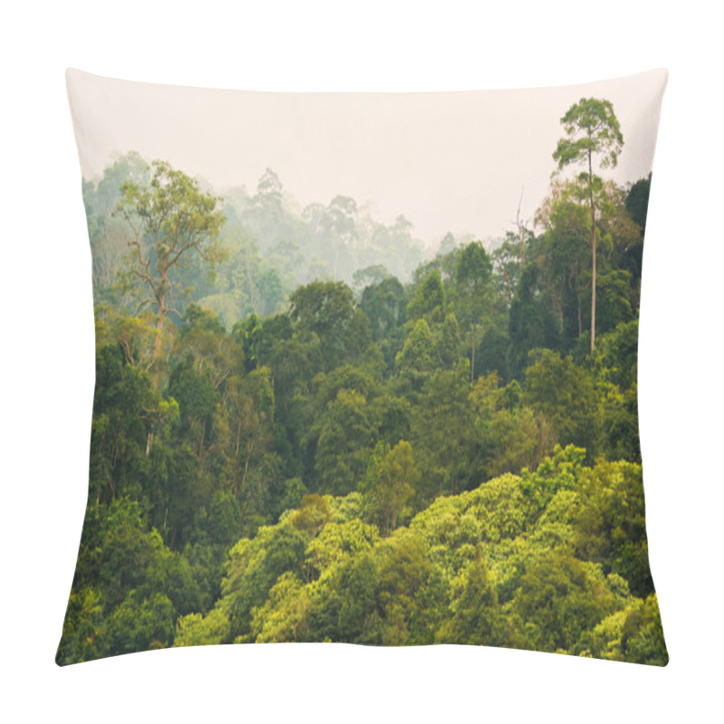 Personality  Tropical Rainforest,Khao Yai National Park Thailand Pillow Covers