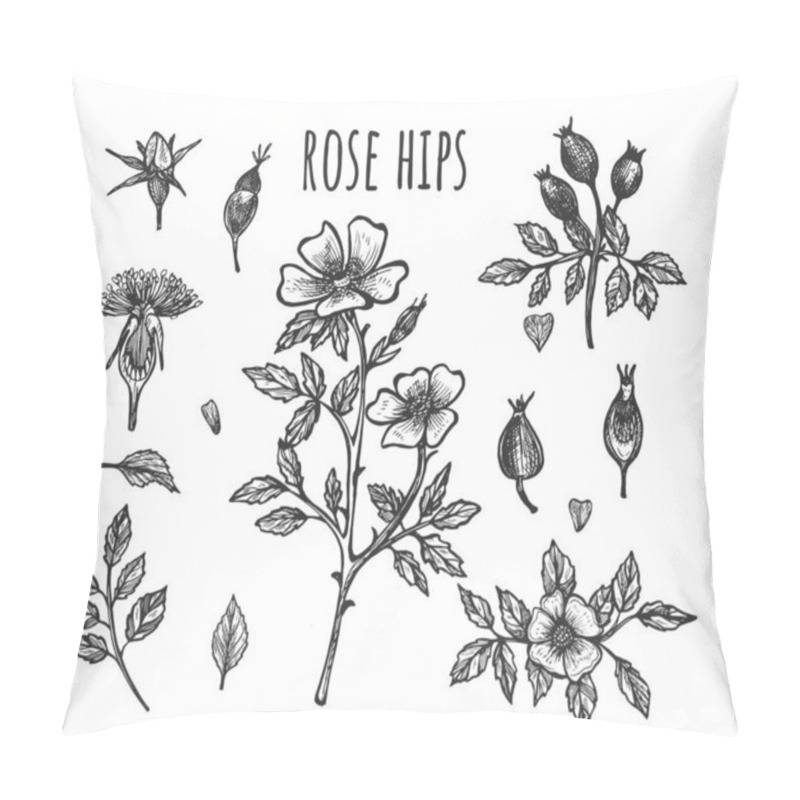 Personality  Fresh Wild Rose Hip Botanical Set Pillow Covers