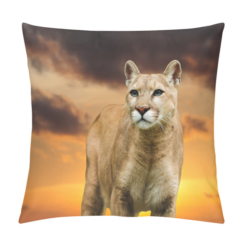 Personality  Leopard On The Sky Background Pillow Covers