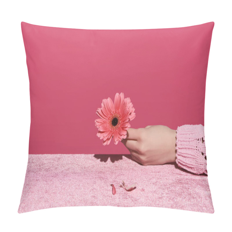 Personality  Cropped View Of Woman Holding Gerbera With Petals On Velour Cloth Isolated On Pink, Girlish Concept  Pillow Covers