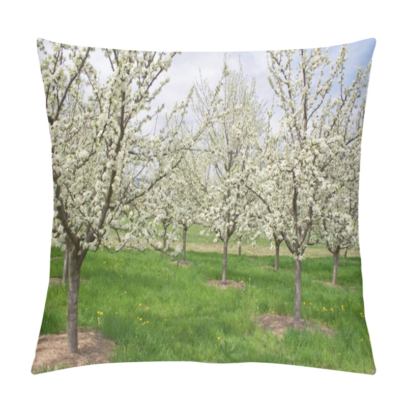 Personality  Apple Orchard Pillow Covers