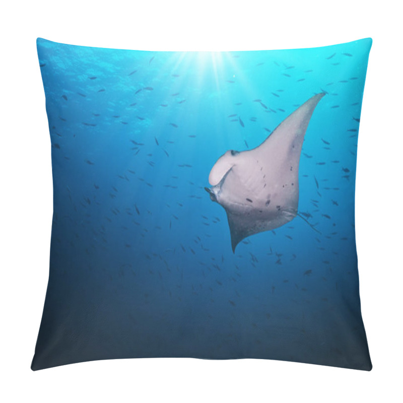 Personality  Beautiful Big Manta Ray In Deep Blue Ocean Pillow Covers